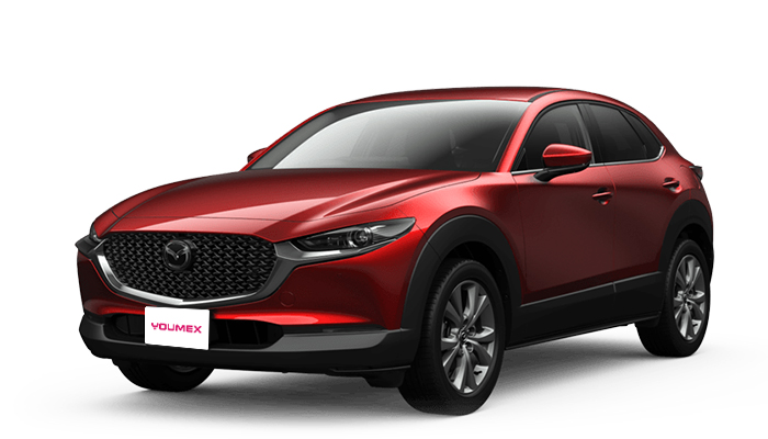 CX-30